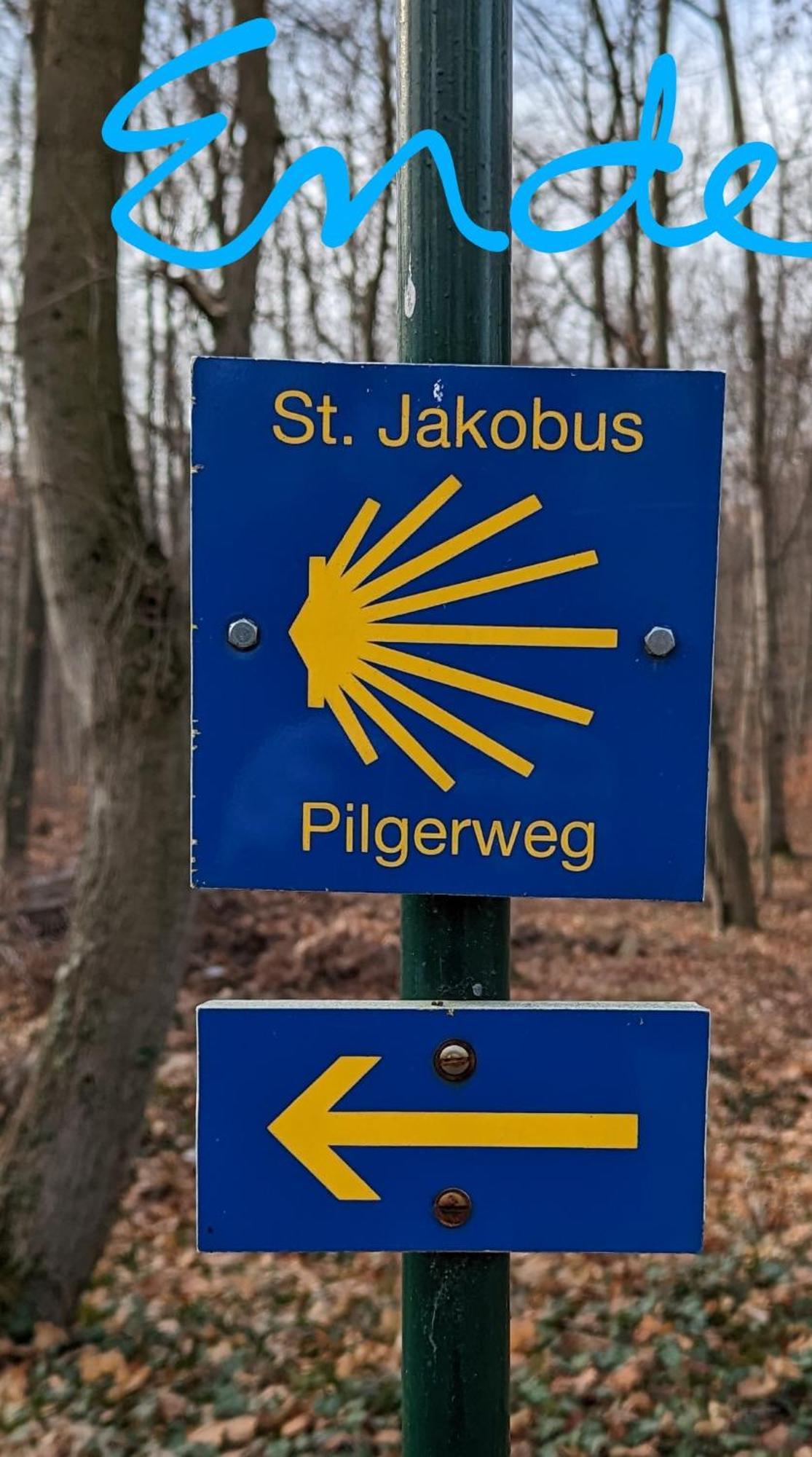 Ruhig - Privatparkplatz - Barrierearm Quiet - Private Car Park - Low Barrier Magdeburg Eksteriør billede